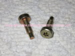 Torx Bolt