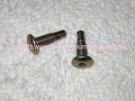Torx Bolt