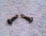 #20 Torx Screw