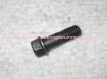 Steering Shaft Retaining Bolt